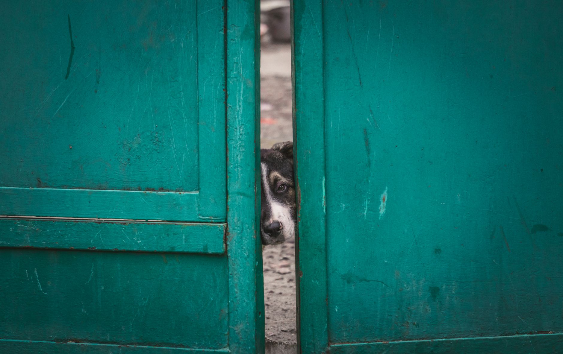 UP Home Guard PET Admit Card